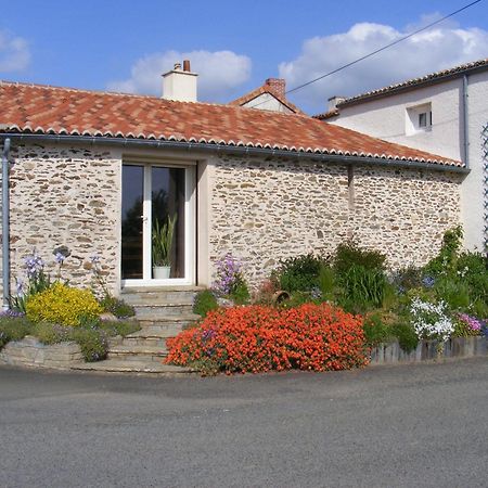 Chambres D'Hotes Vignes Et Loire Drain Kültér fotó