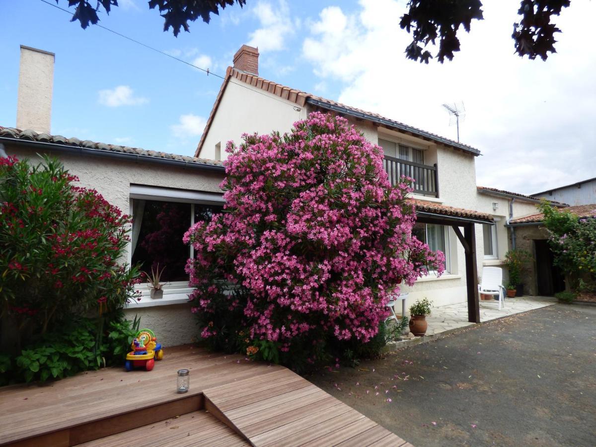 Chambres D'Hotes Vignes Et Loire Drain Kültér fotó