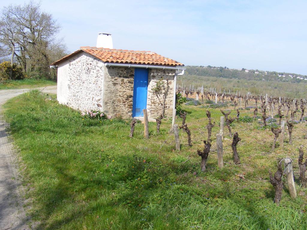 Chambres D'Hotes Vignes Et Loire Drain Szoba fotó