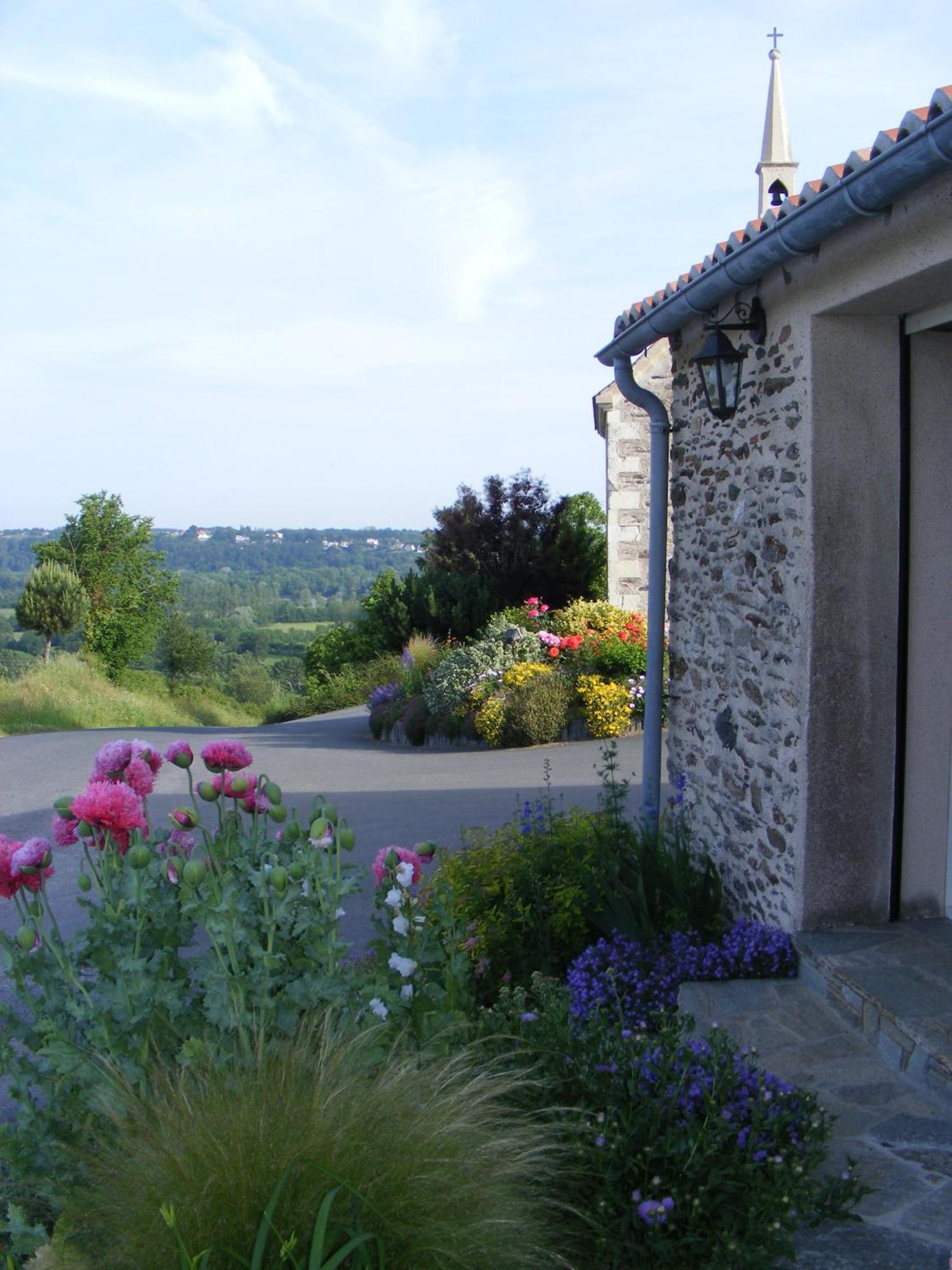 Chambres D'Hotes Vignes Et Loire Drain Kültér fotó