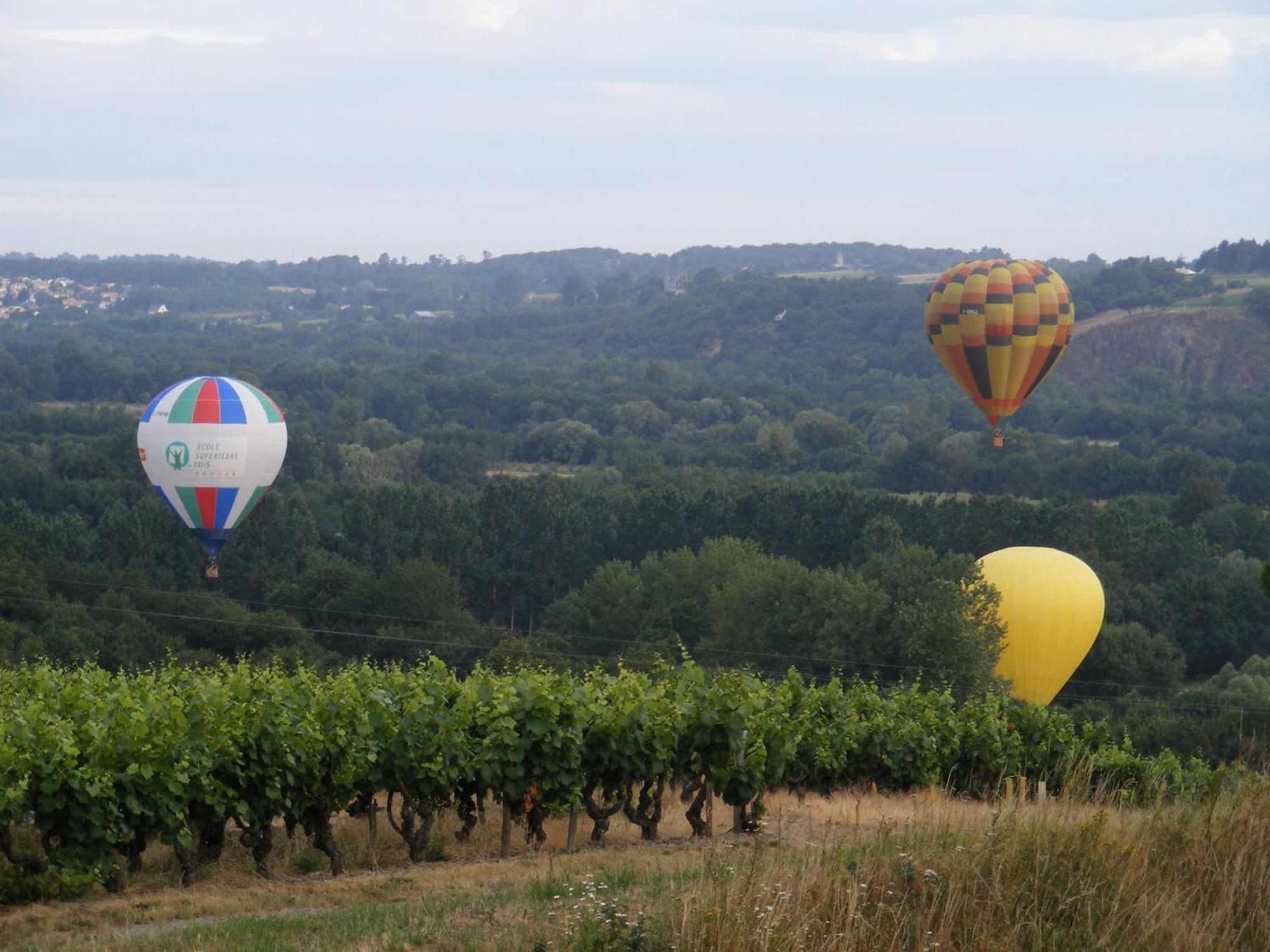 Chambres D'Hotes Vignes Et Loire Drain Kültér fotó