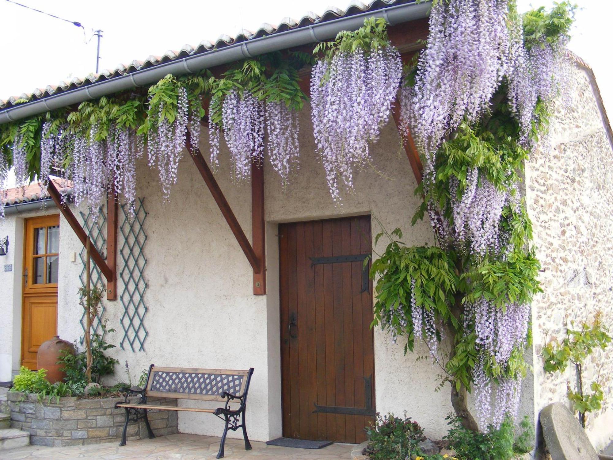Chambres D'Hotes Vignes Et Loire Drain Kültér fotó