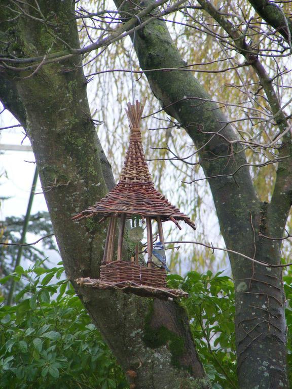 Chambres D'Hotes Vignes Et Loire Drain Kültér fotó