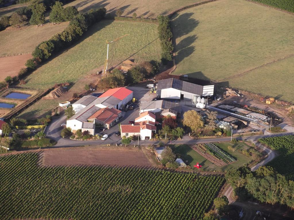 Chambres D'Hotes Vignes Et Loire Drain Kültér fotó