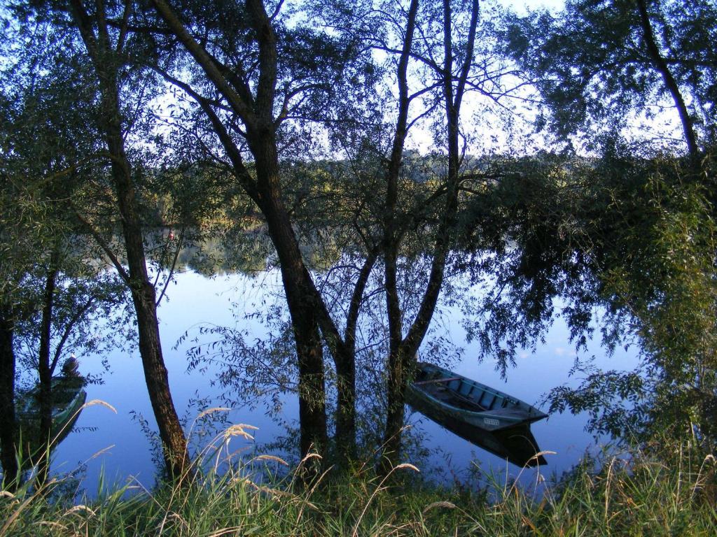 Chambres D'Hotes Vignes Et Loire Drain Kültér fotó